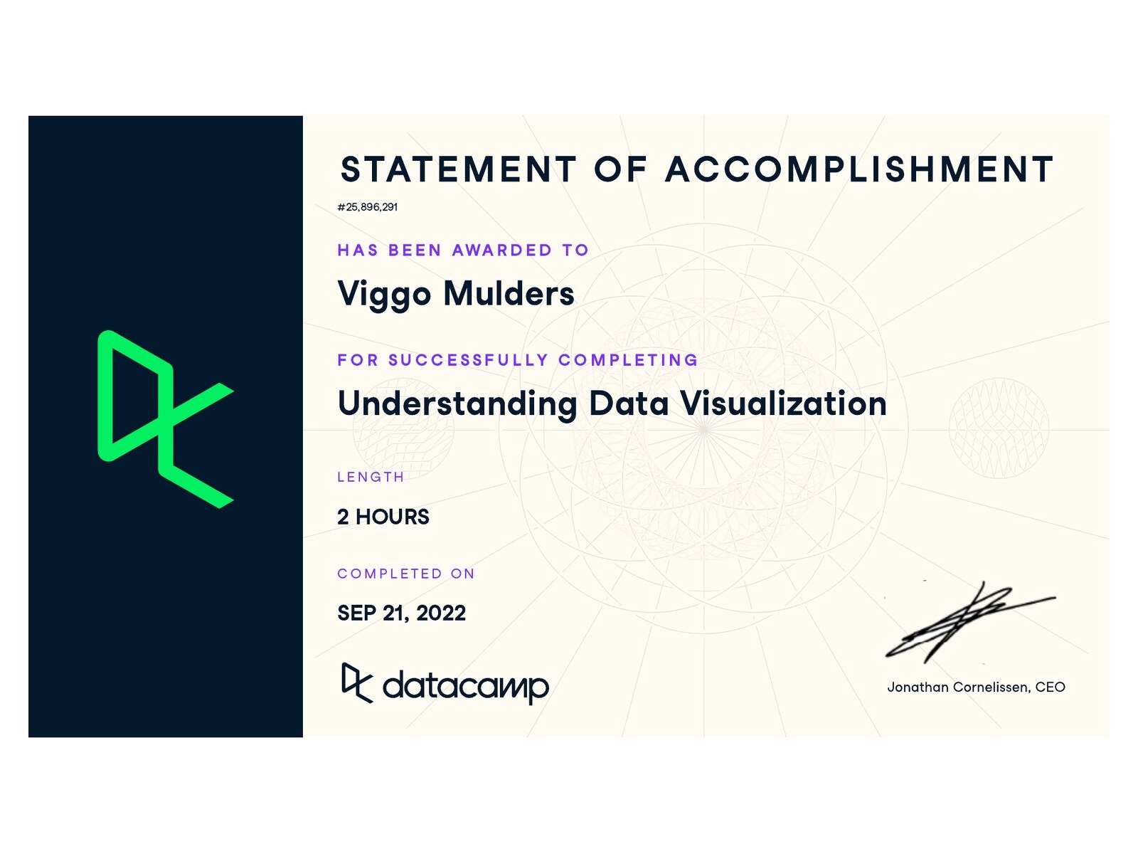 Preview of Understanding Data Visualization